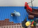 shark_11.jpg
