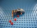 shark_17.jpg