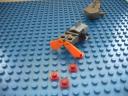 shark_18.jpg