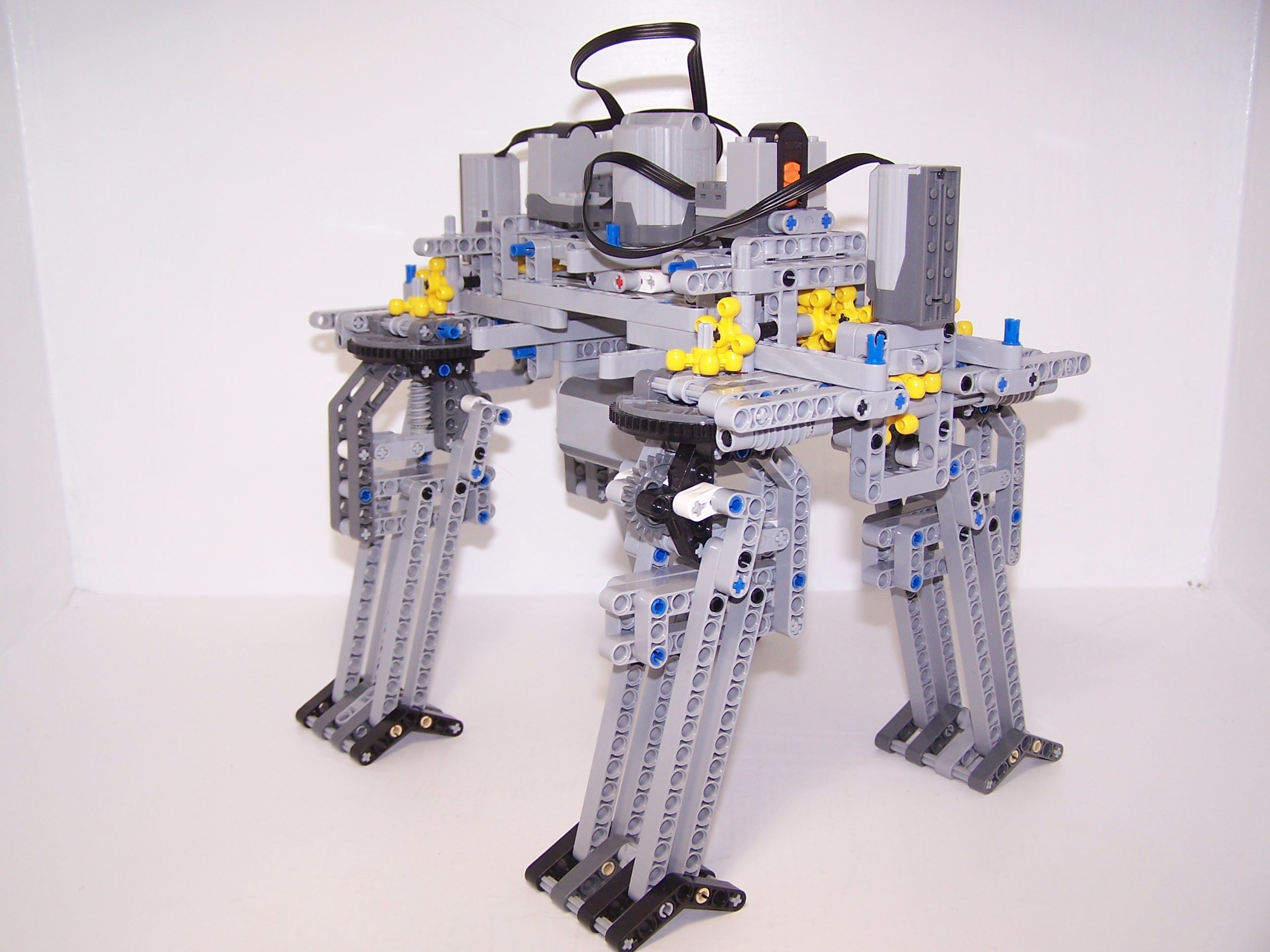 quadropedrev1_3.jpg