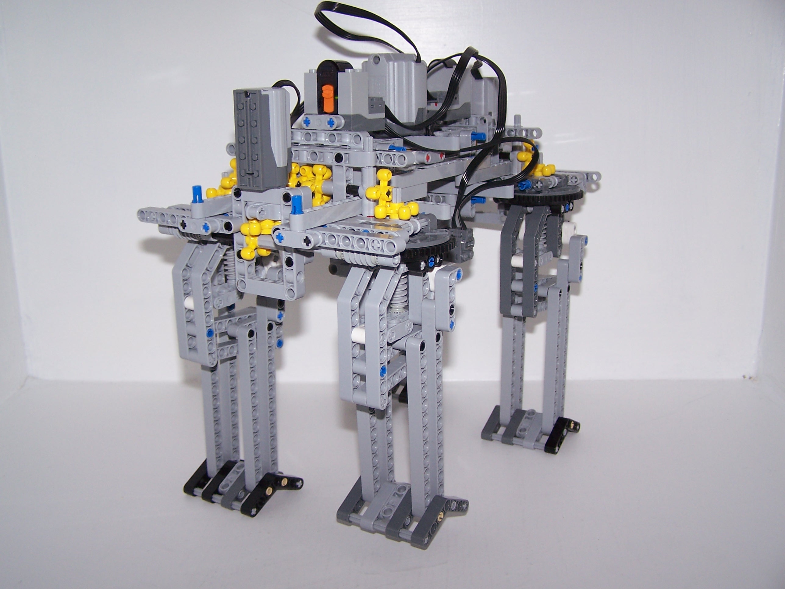 quadropedrev1_5.jpg