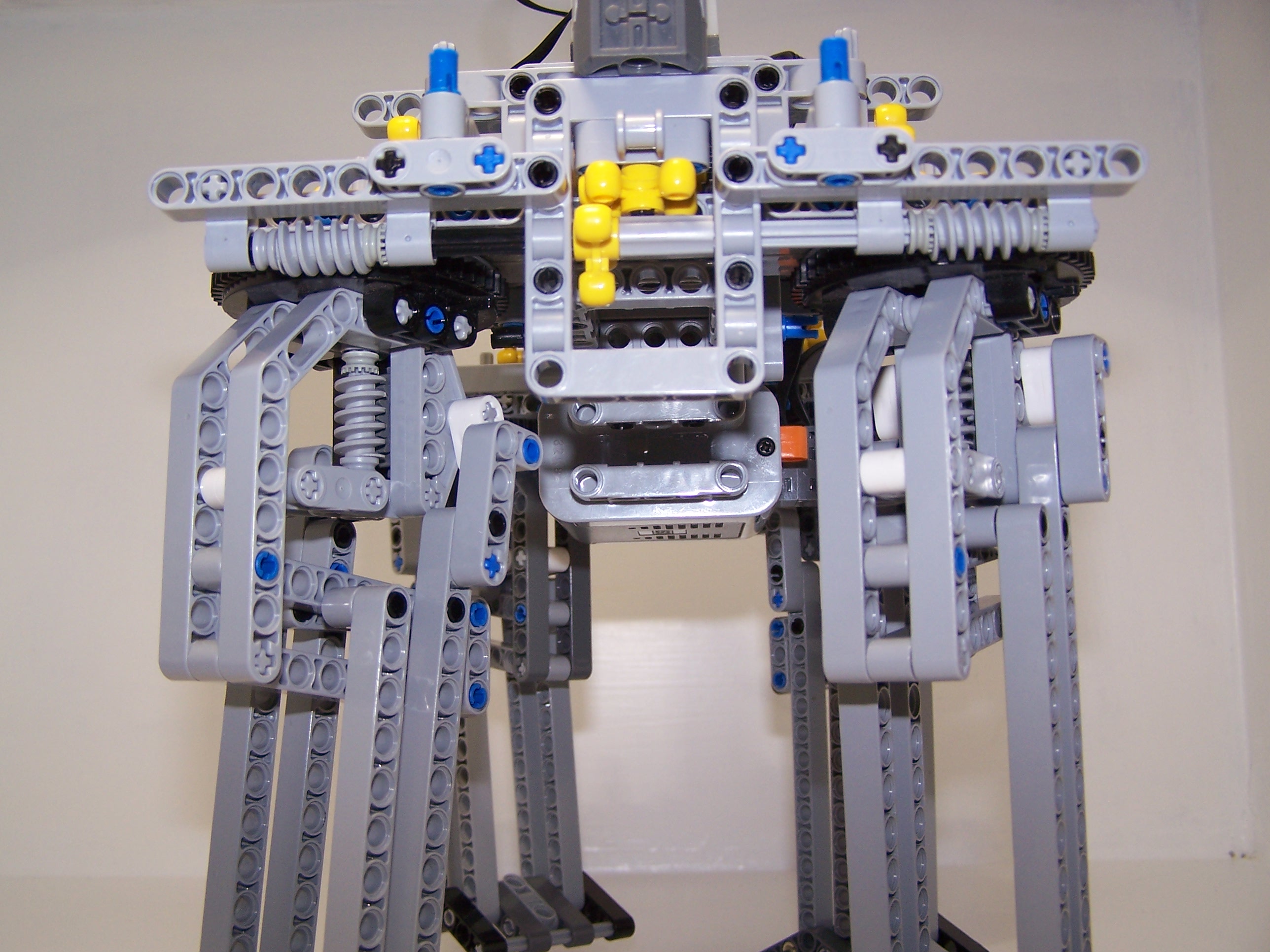 quadropedrev1_9.jpg