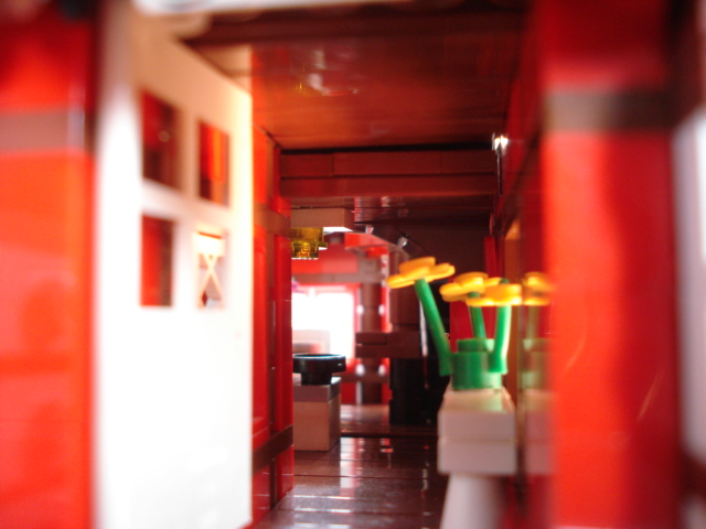 dsc09828.jpg