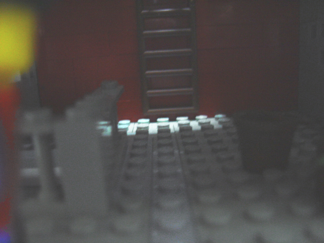 dsc04455.jpg