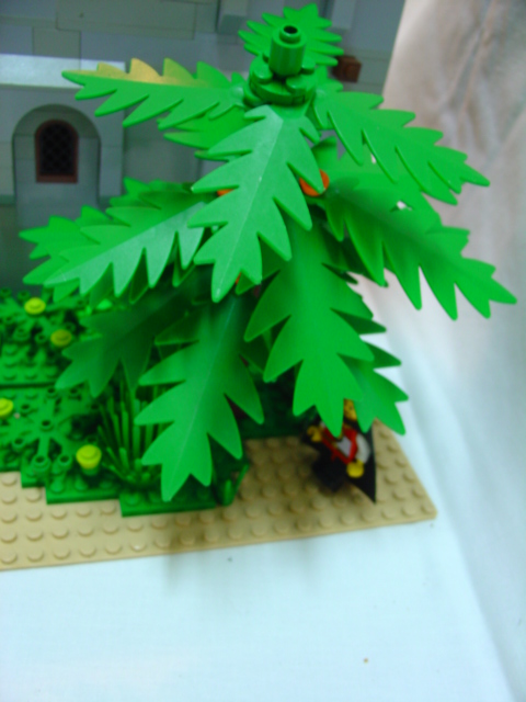 dsc05066.jpg