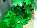dsc05089.jpg