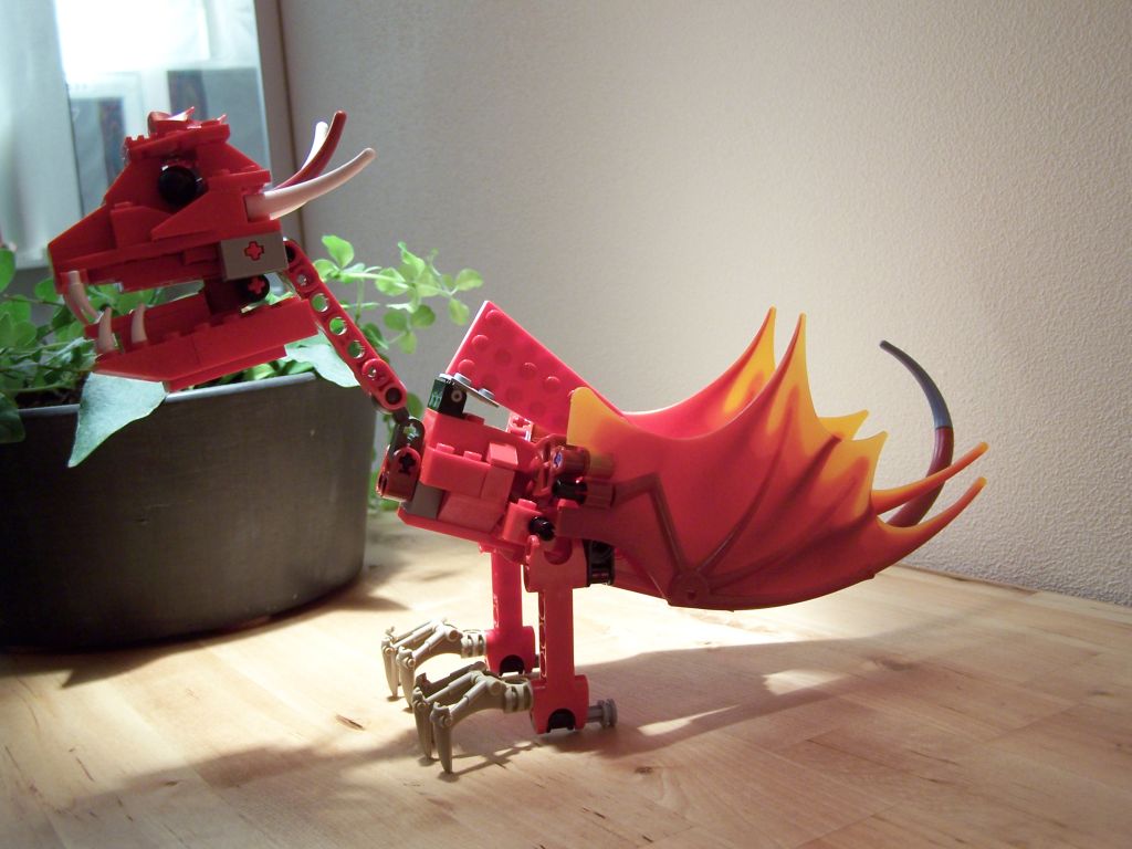 baby_dragon_02.jpg