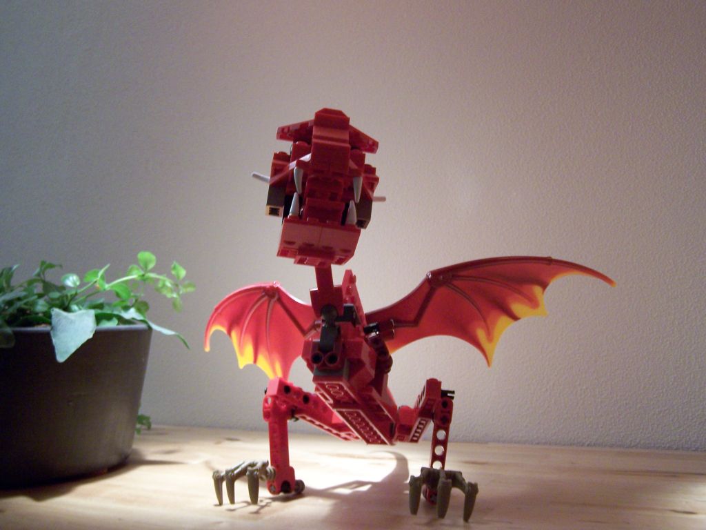 baby_dragon_05.jpg