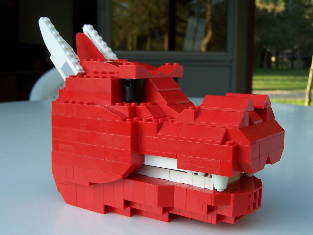 dragon-head-20.jpg