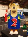 topper-2-progress-217.jpg