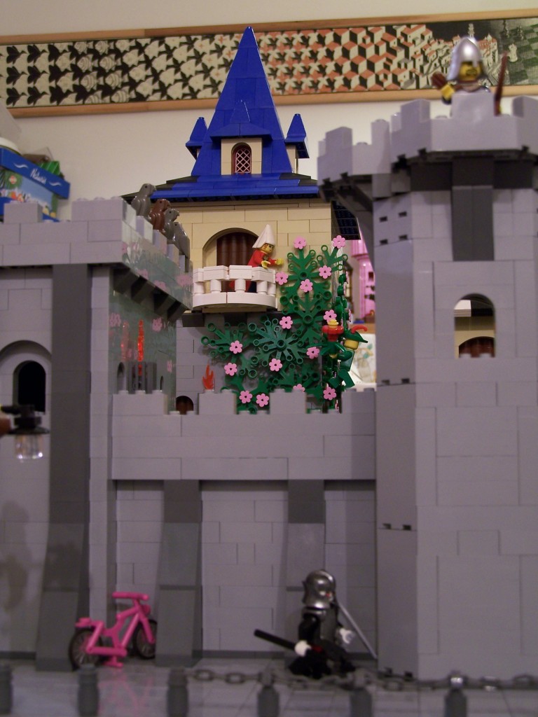 mb-castle-009-2009-02-13-finished.jpg