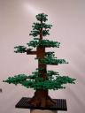 mb-castle-2.1-progress-046.jpg