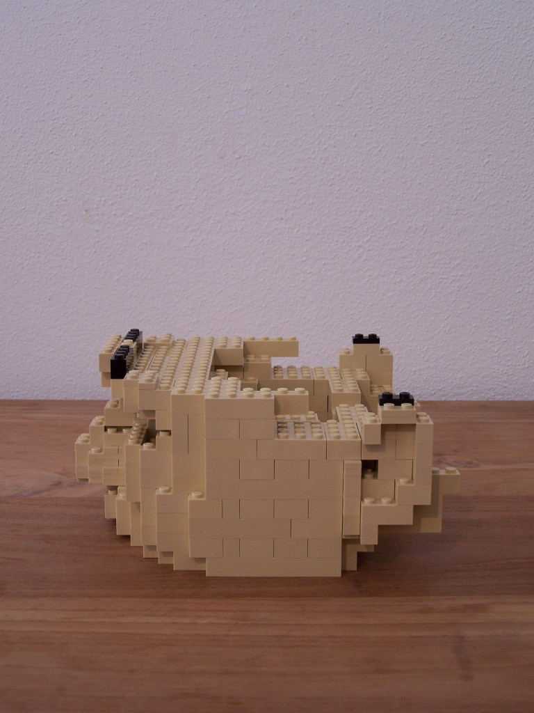 frans-bauer-progress-011.jpg