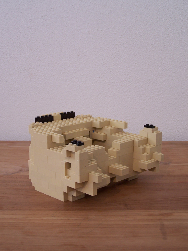 frans-bauer-progress-012.jpg