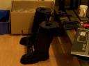 frans-bauer-progress-083.jpg