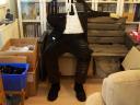 frans-bauer-progress-126.jpg