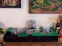 maxifig-dollhouse-progress-002.jpg