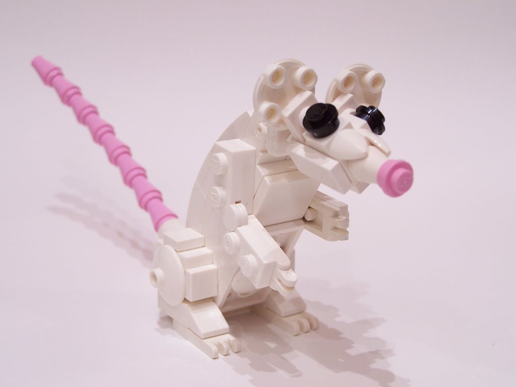 mouse-001.jpg