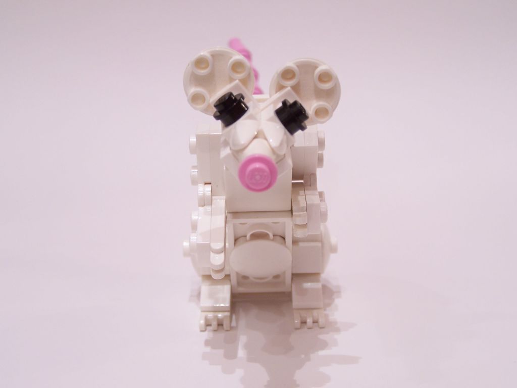 mouse-002.jpg