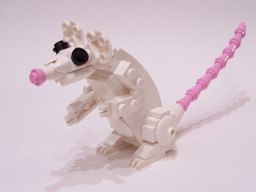 mouse-003.jpg