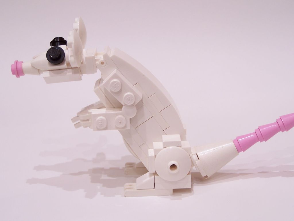 mouse-004.jpg