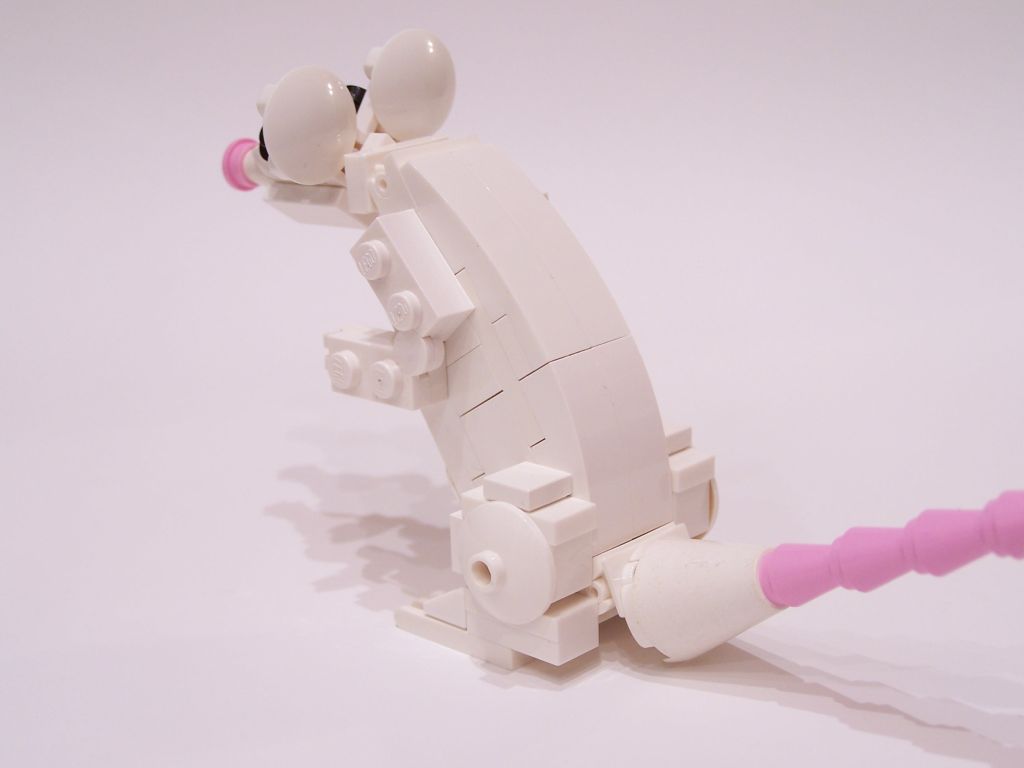 mouse-005.jpg