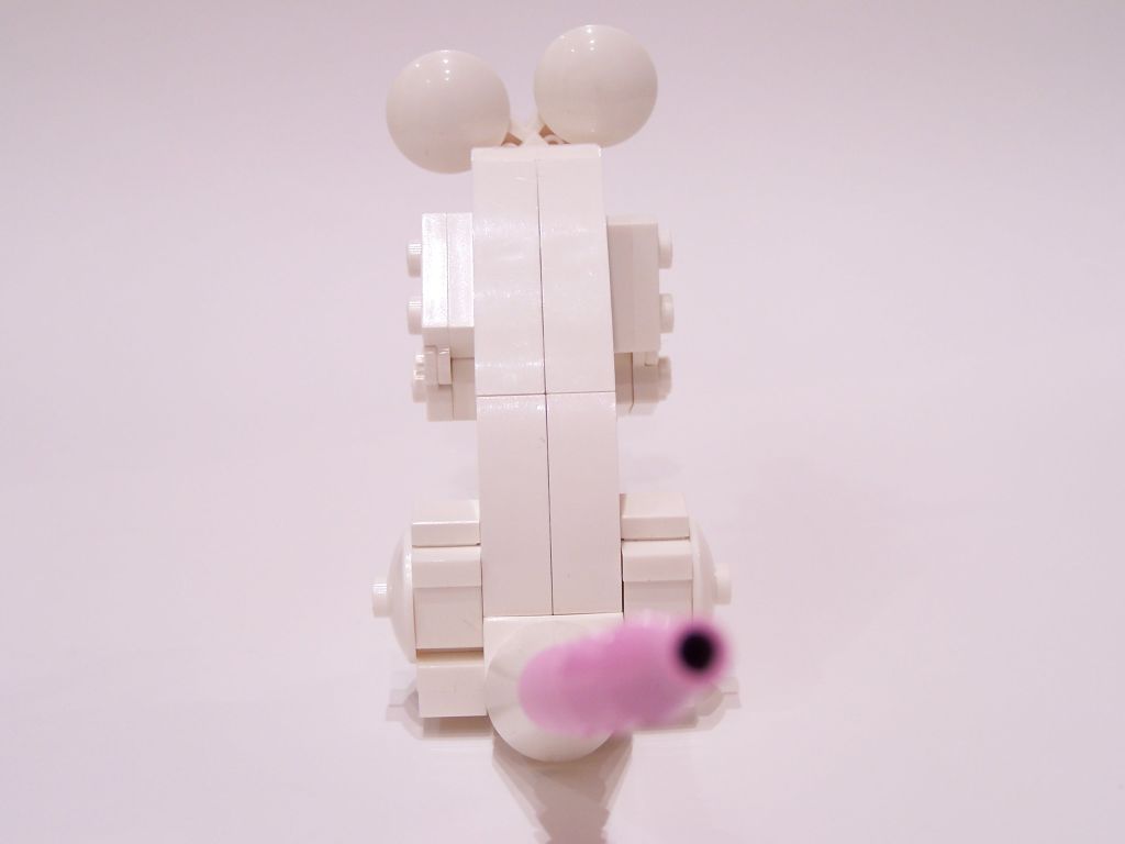 mouse-006.jpg