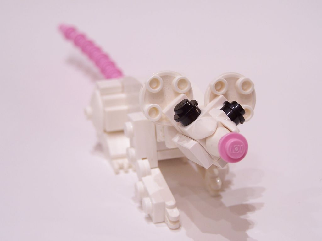 mouse-008.jpg