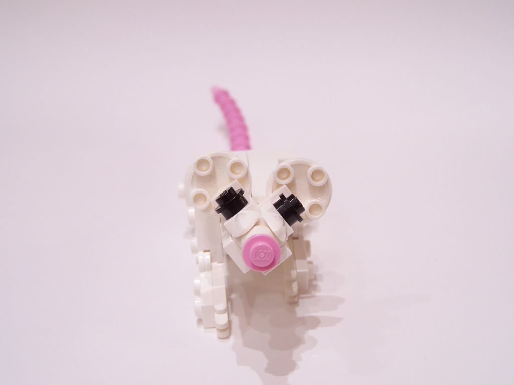 mouse-009.jpg