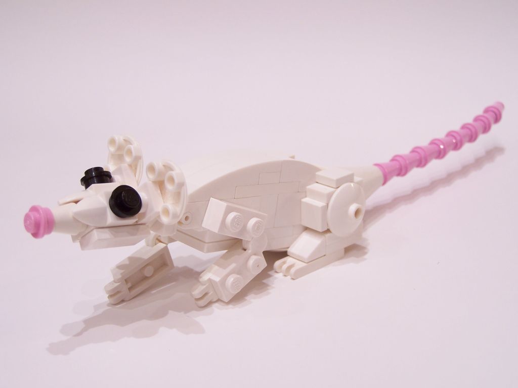 mouse-010.jpg