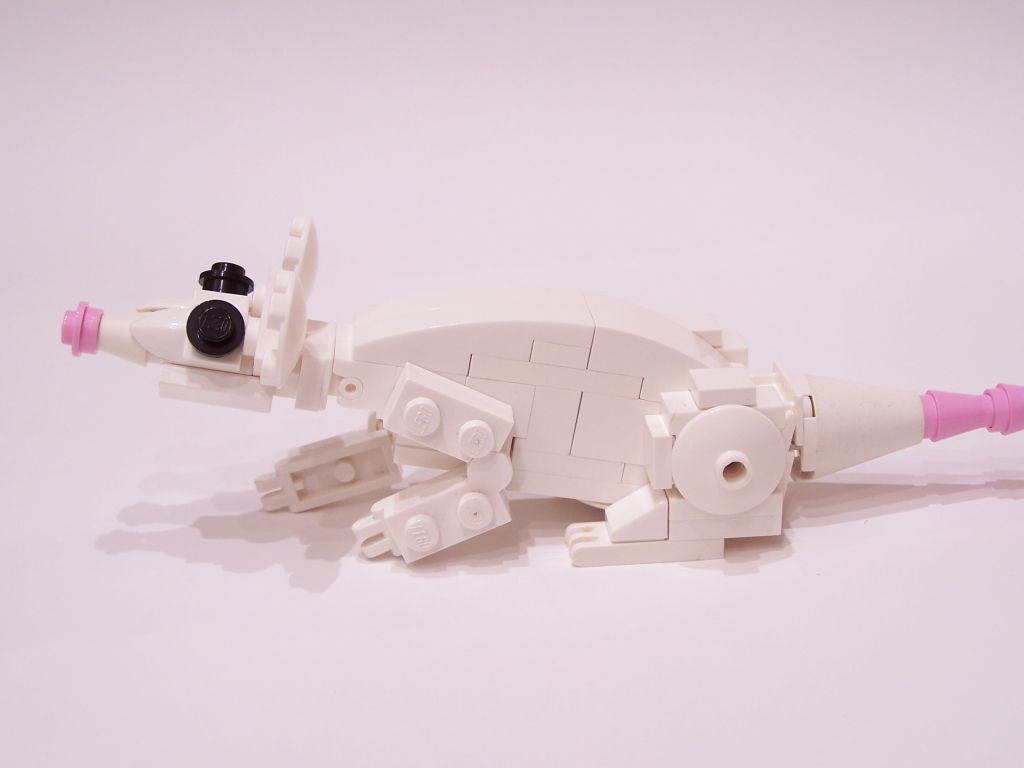 mouse-011.jpg