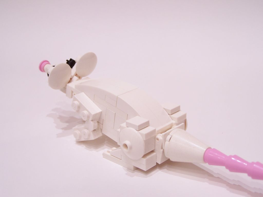 mouse-012.jpg