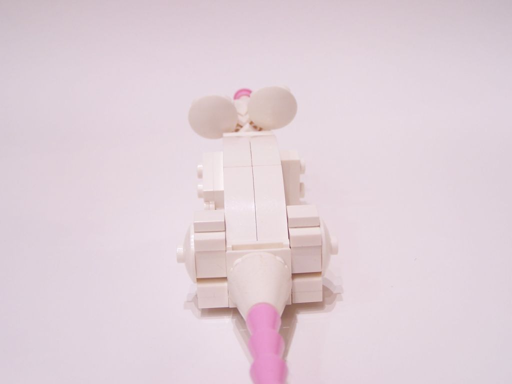 mouse-013.jpg