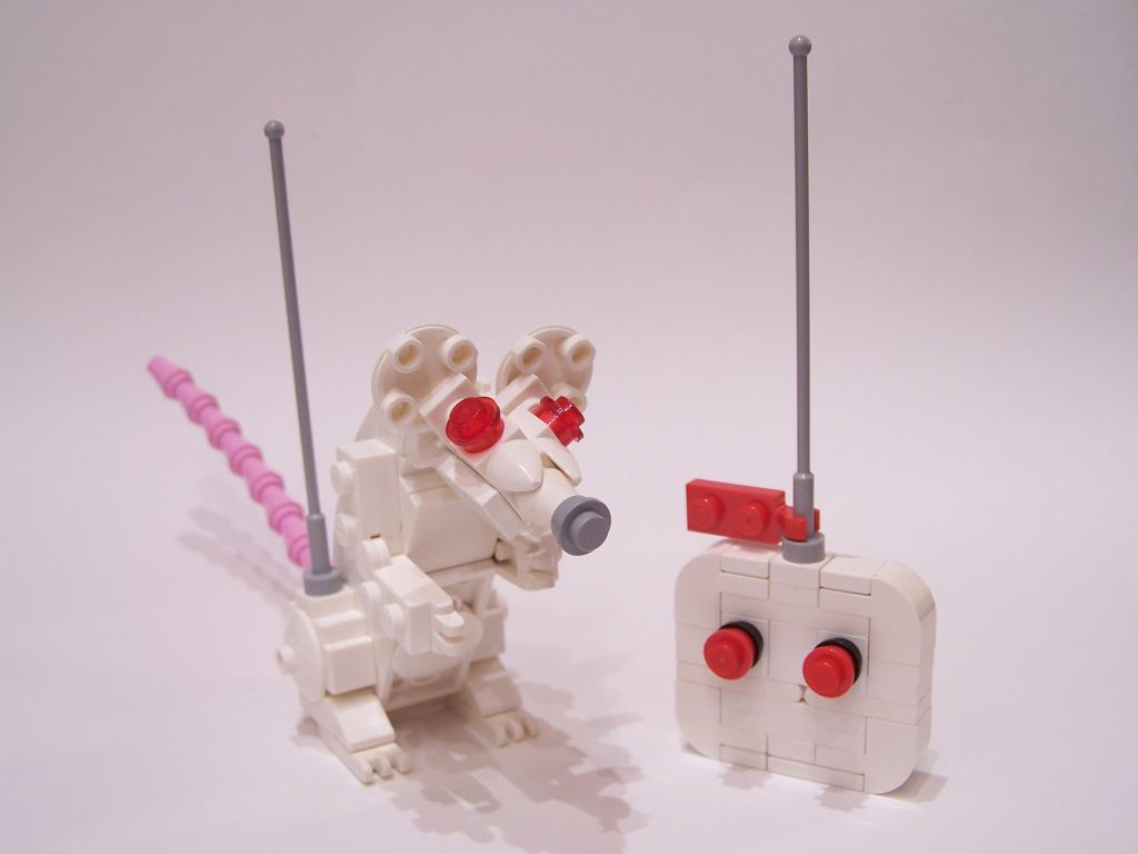 mouse-016.jpg