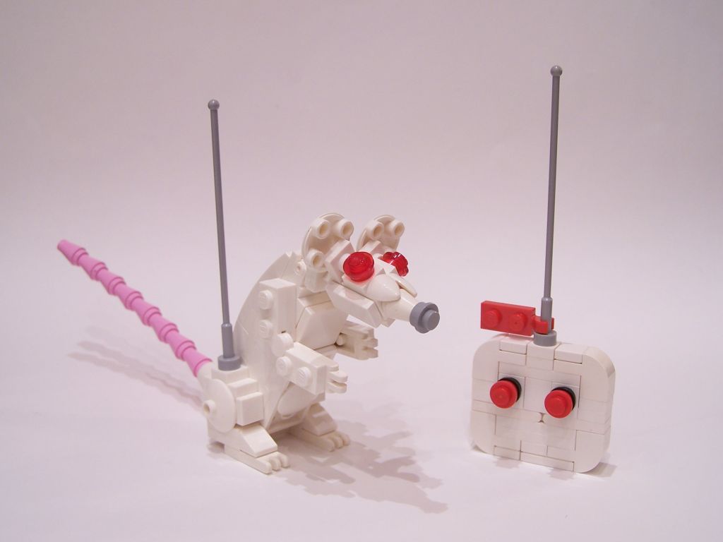 mouse-017.jpg