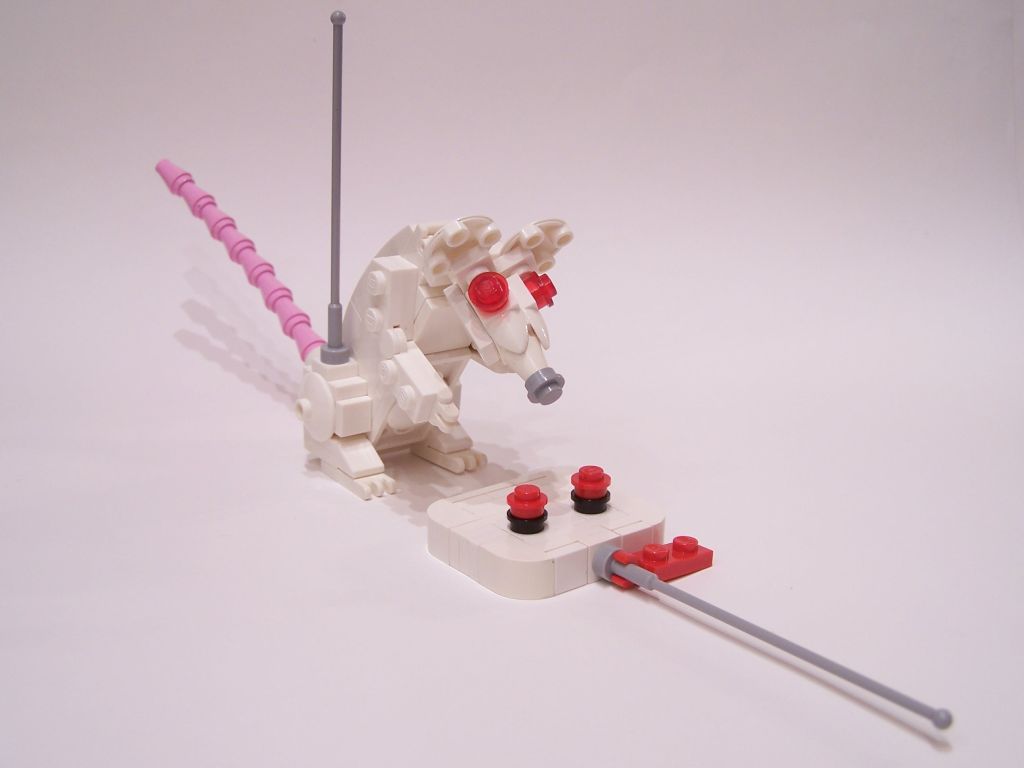 mouse-020.jpg