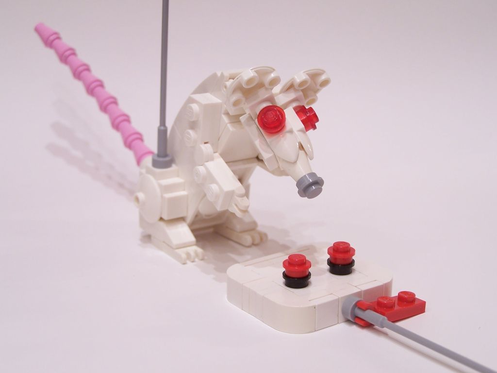 mouse-021.jpg