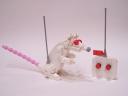 mouse-018.jpg