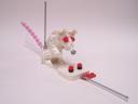 mouse-020.jpg