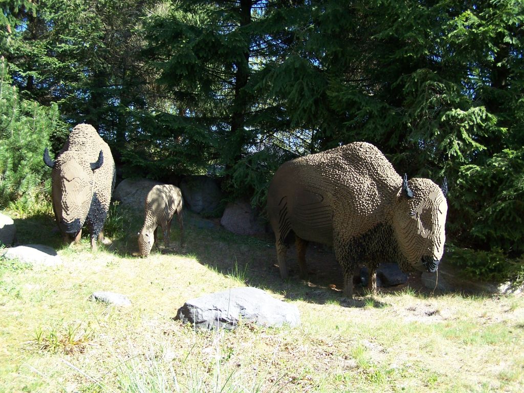 billund-2007-102.jpg