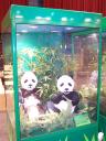 lego-world-2007-setting_up-050.jpg