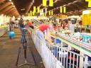 lego-world-2007-setting_up-095.jpg