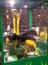 lego-world-2008-203.jpg
