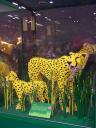 lego-world-2008-207.jpg