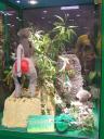 lego-world-2008-209.jpg