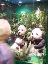 lego-world-2008-211.jpg