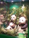 lego-world-2008-212.jpg