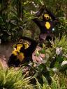 lego-world-2008-220.jpg