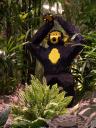 lego-world-2008-221.jpg