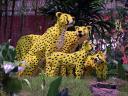 lego-world-2008-224.jpg